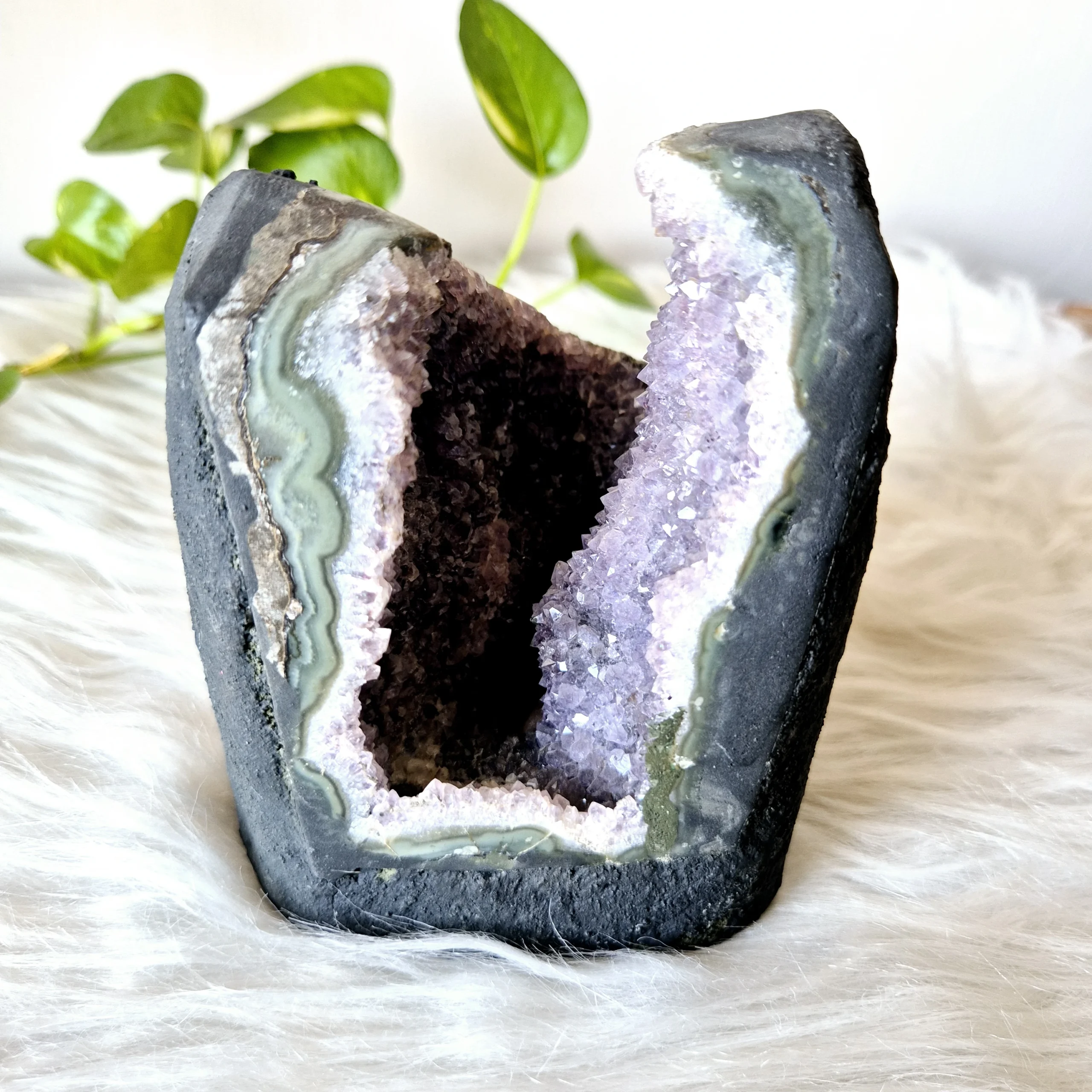 Light-Coded Amethyst Geode