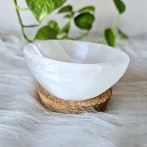 Energized Selenite Bowl (2 inch base)
