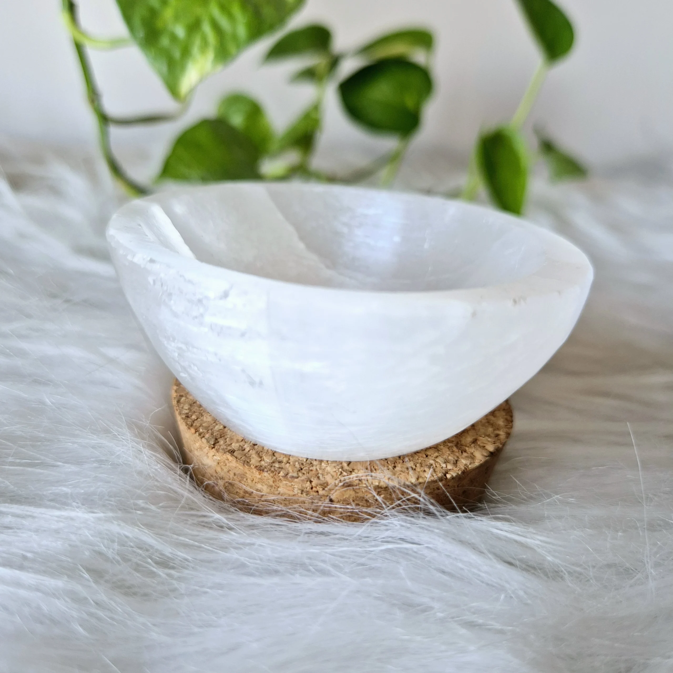 Energized Selenite Bowl (2 inch base)