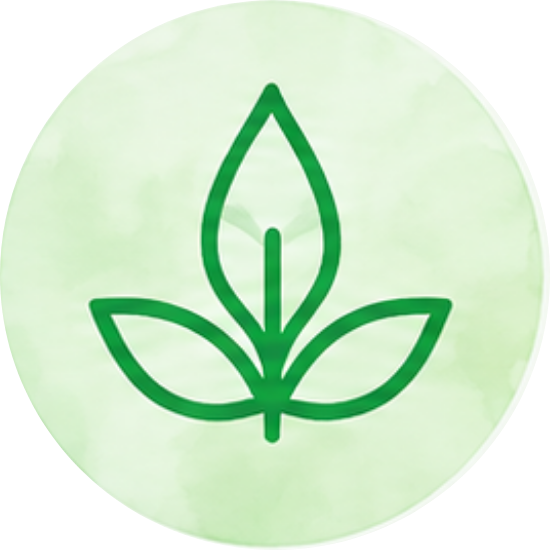 Soma's Signature Healing Program