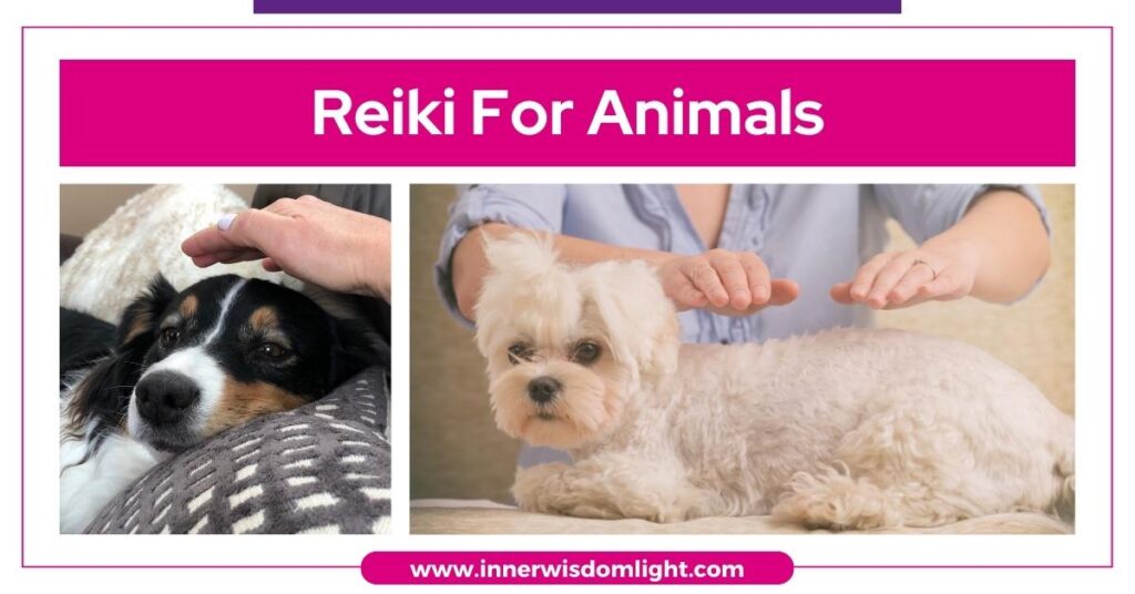 Reiki For Animals