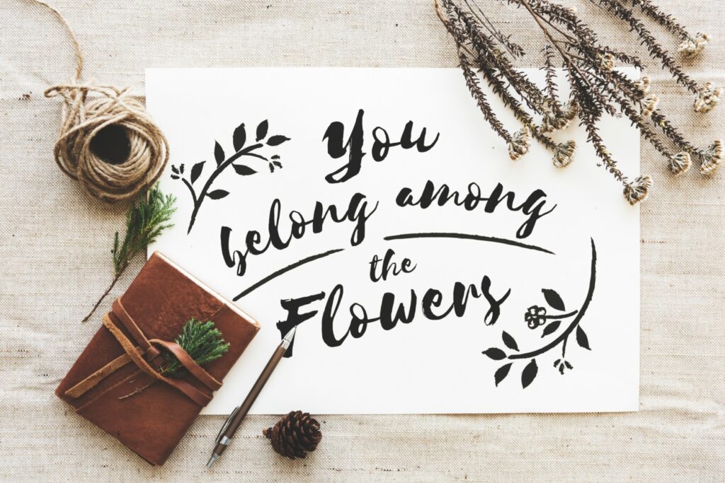 aerial view you belong flowers phrase white paper with flowers decoration 1 1 1 1